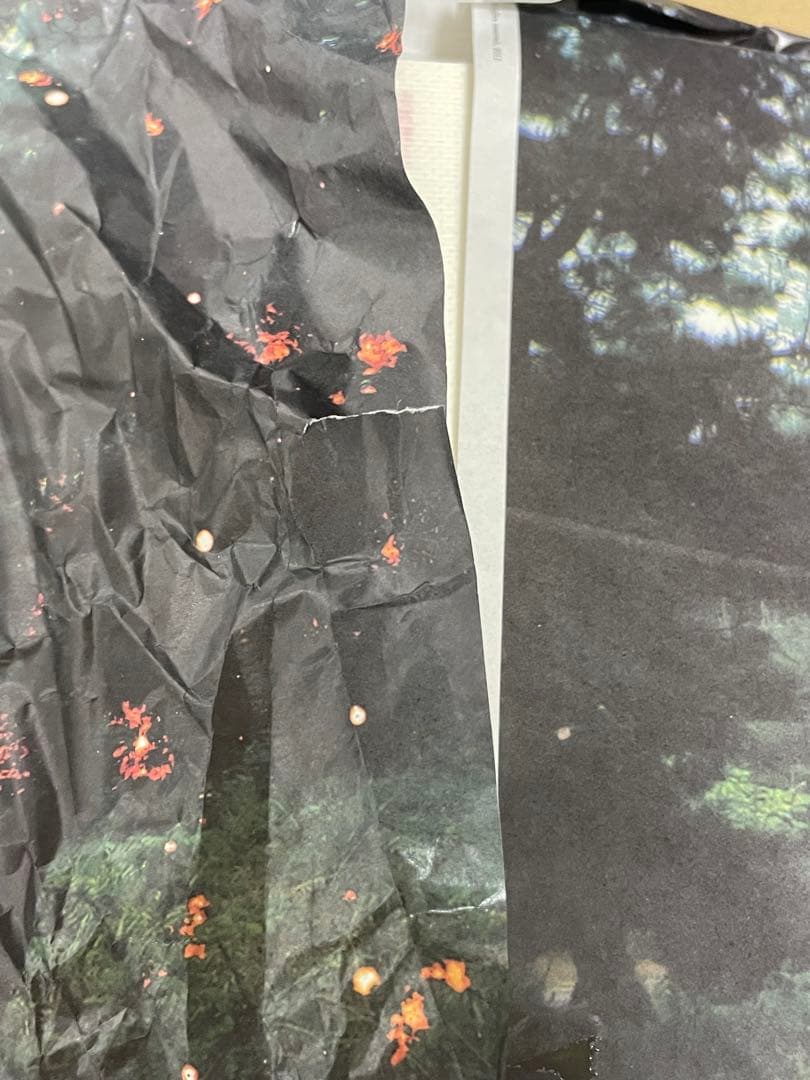 志賀理江子 螺旋海岸 notebook 直筆サイン入り - メルカリ