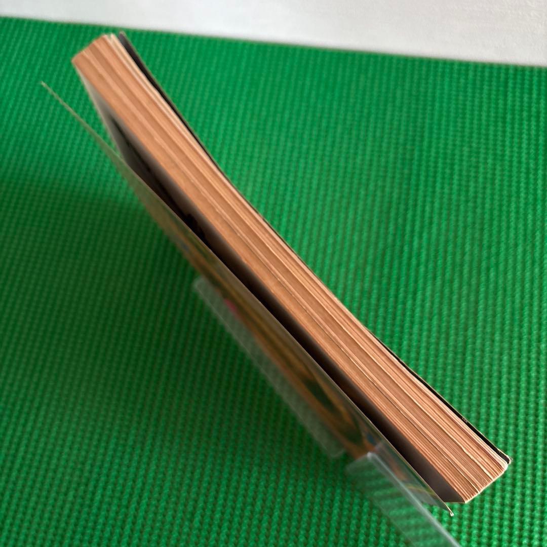 【初版】　「血と薔薇」　生きているマゾヒズム　1969年　No.4 天声出版