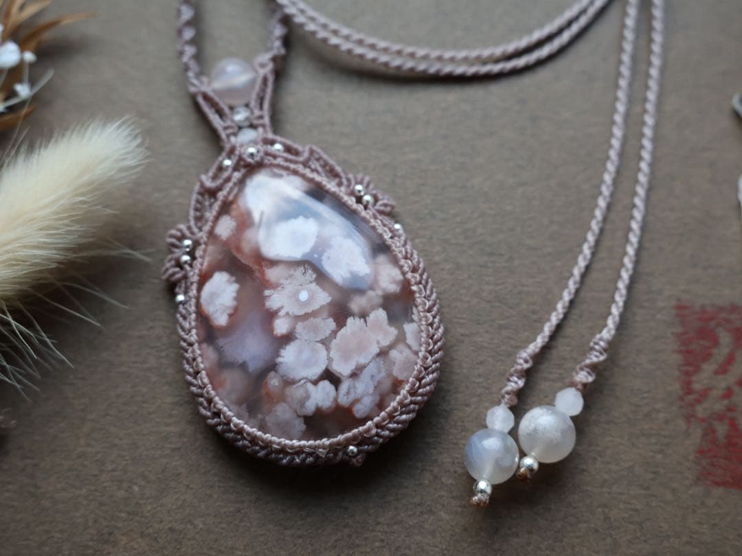 でんちゃん 8/22