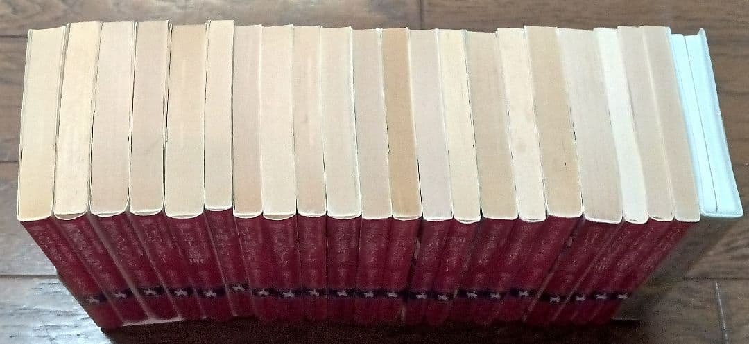 まんが家マリナシリーズ21冊と愛してポンペイ狂詩曲