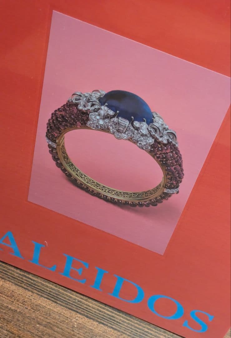 BVLGARI KALEIDOS アートブック ブルガリ カレイドス（表紙赤色