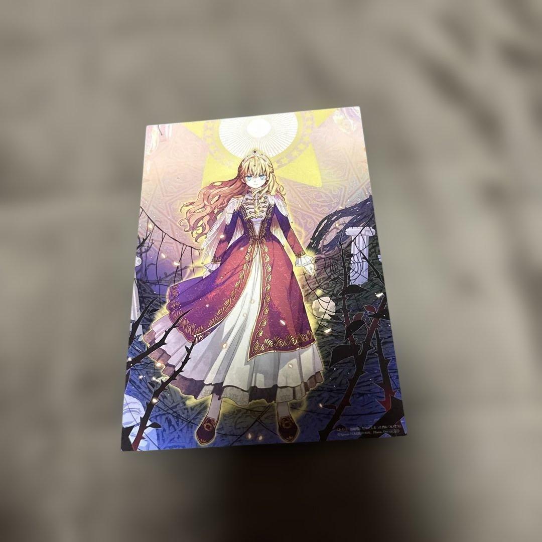 ある日お姫様になってしまった件について 全巻 1-13巻 完結 購入特典付き