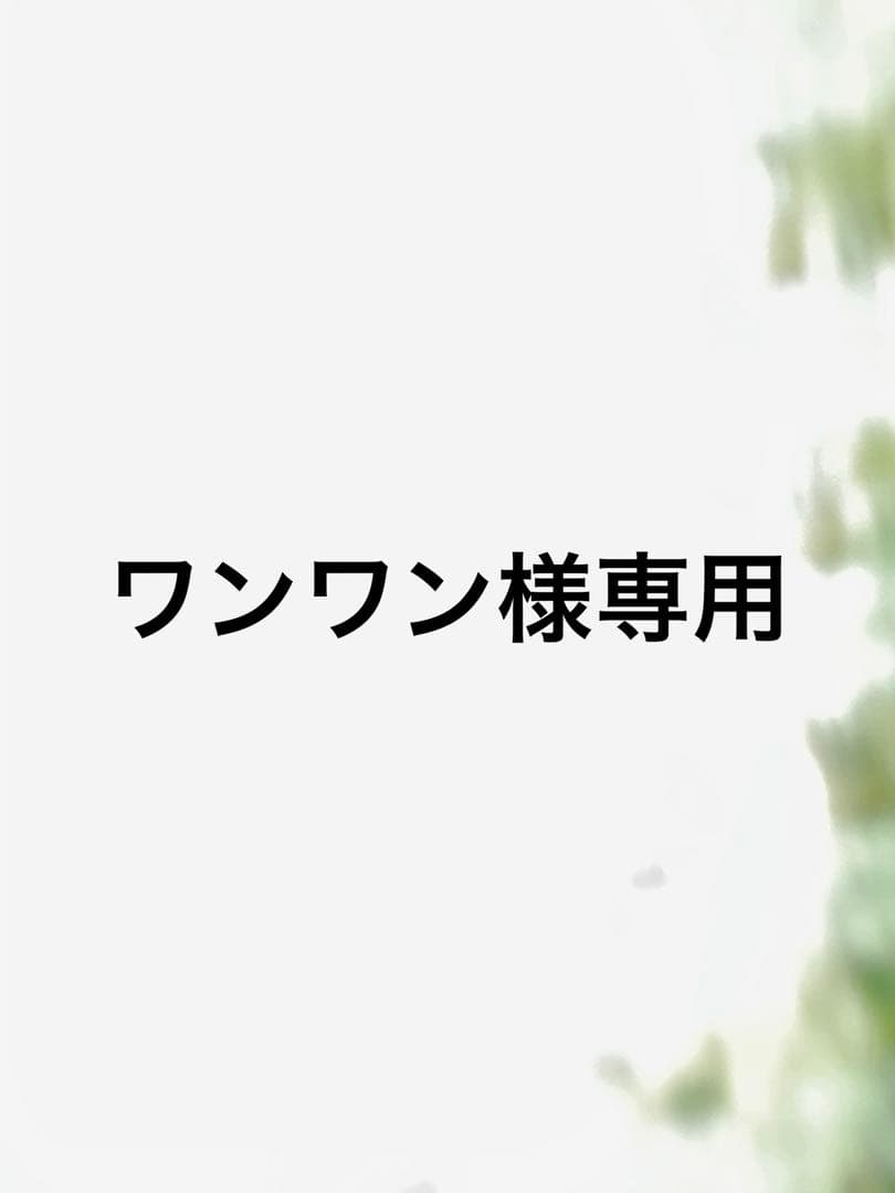 ワンワン チェーン付き☆チェック肩ベルトワンピース(PINK) | VOLCAN&APHRODITE