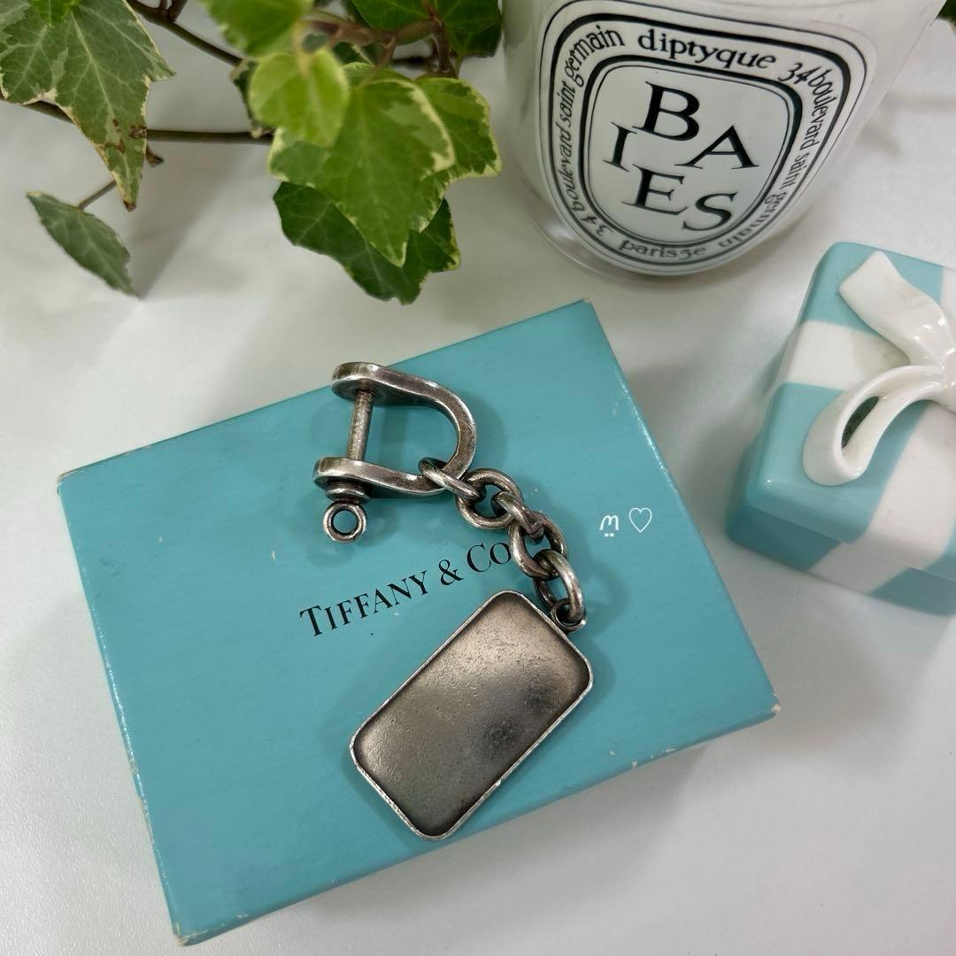 ティファニー シルバーインゴット シャックルキーリング キーホルダー