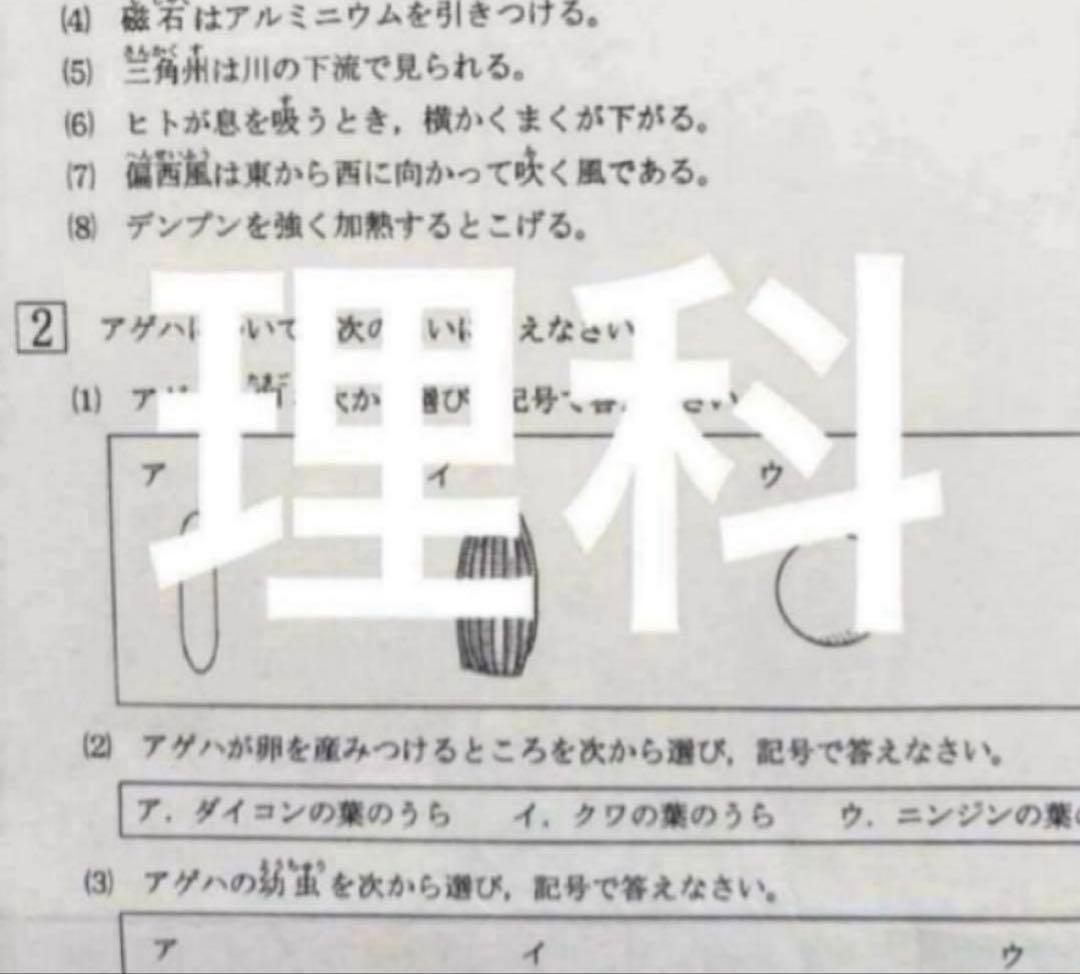 浜学園 小6 最新版 2025年 公開学力テスト4科目 国語、算数、理科