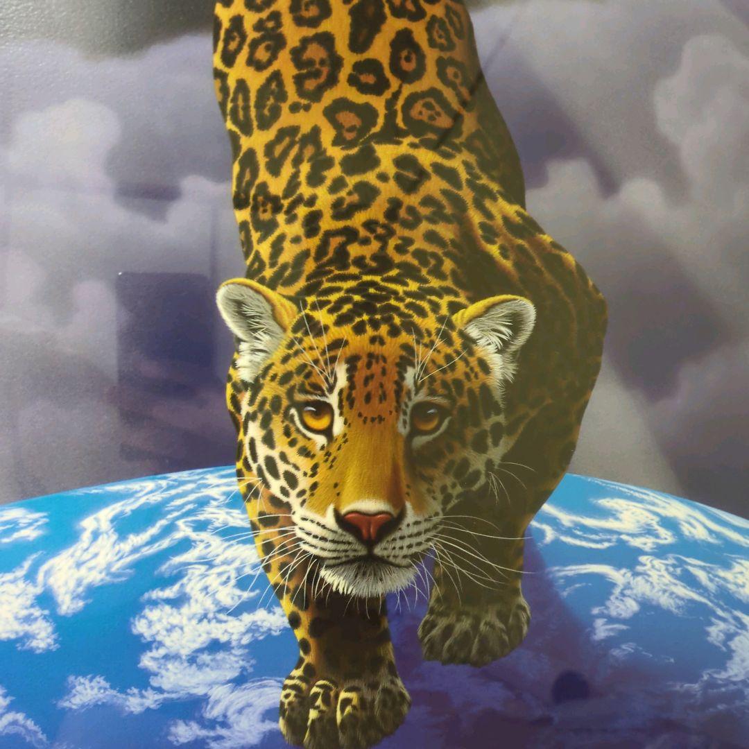 シム・シメール（Schim Schimmel）ヘブンアンドアース - メルカリ