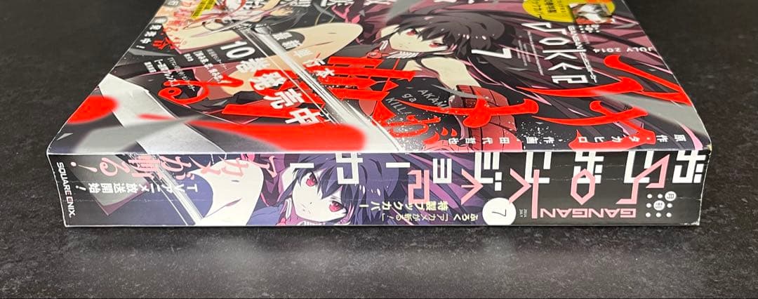○月刊ガンガンjoker 2014年 7月号 ○アカメが斬る! ブックカバー付き