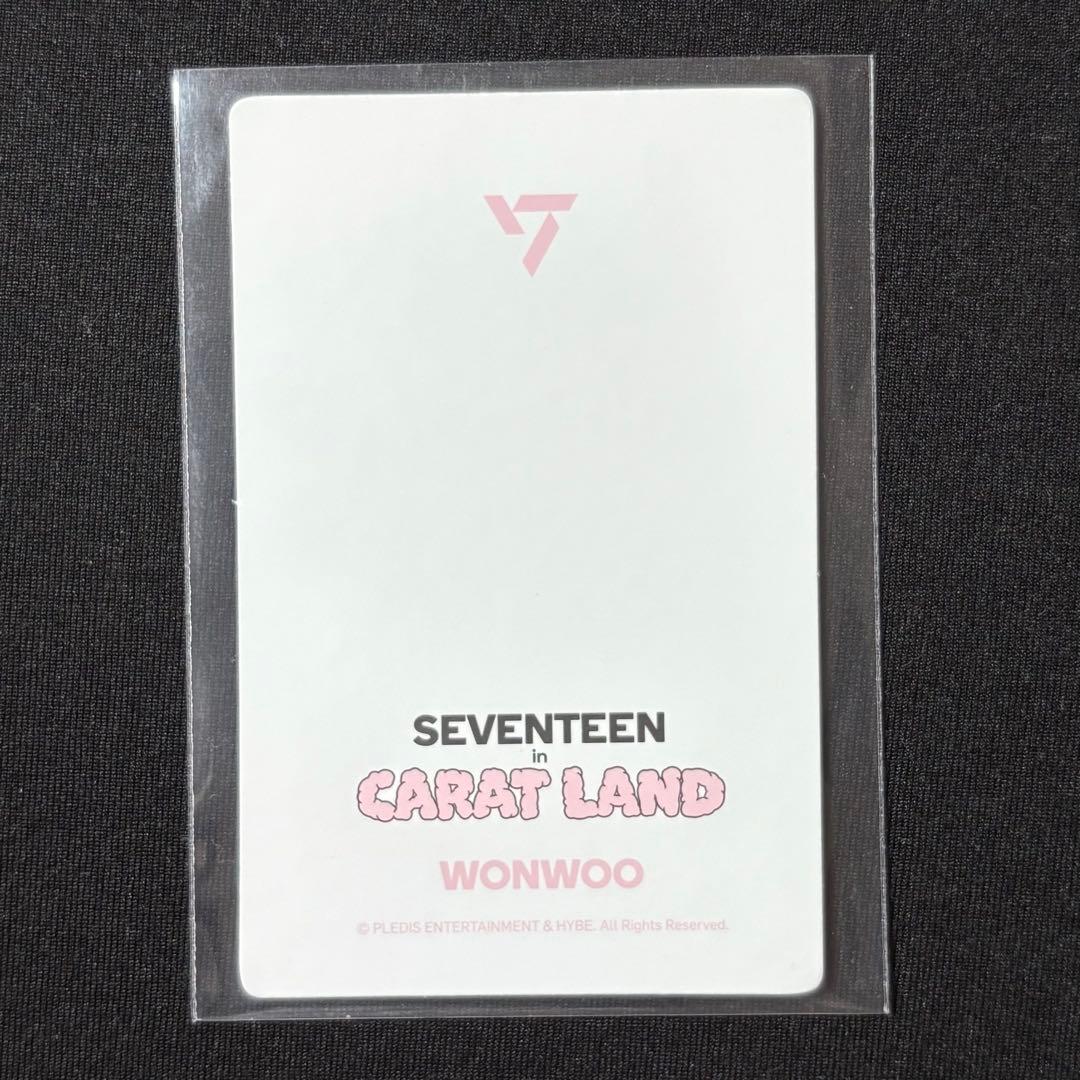 2023 SEVENTEEN in CARAT LAND レンチキュラー ウォヌ - メルカリ
