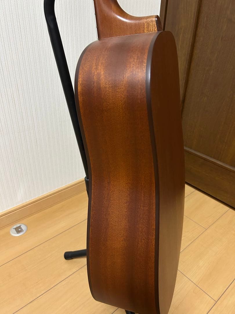 シーガル M6 スプルース アコースティックギター