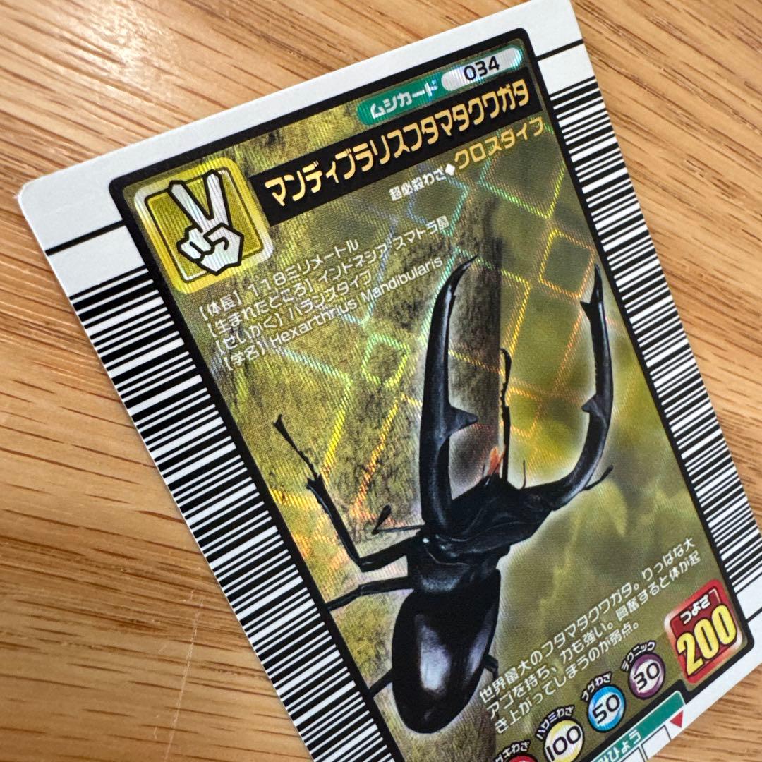 ムシキング マンディブラリスフタマタクワガタ【5742 - メルカリ