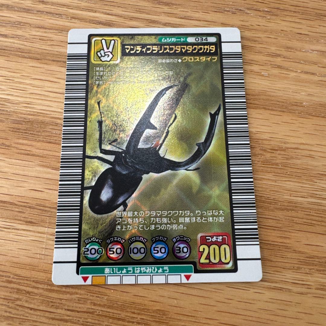 ムシキング マンディブラリスフタマタクワガタ【5742 - メルカリ