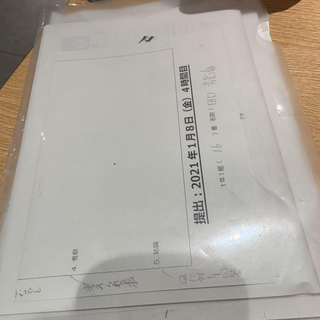 ファイル ZFP281-BRCA2 prevents R-loop accumulation during DNA replication