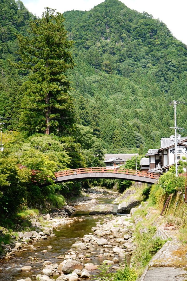 Sony FE 28-70mm f/3.5-5.6 OSS ズームレンズ