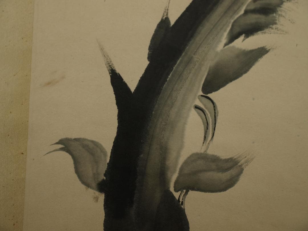 中国明時代の掛軸 美术品 激安骨董品 肉筆保証博物館保管品 BD186A10-3 書