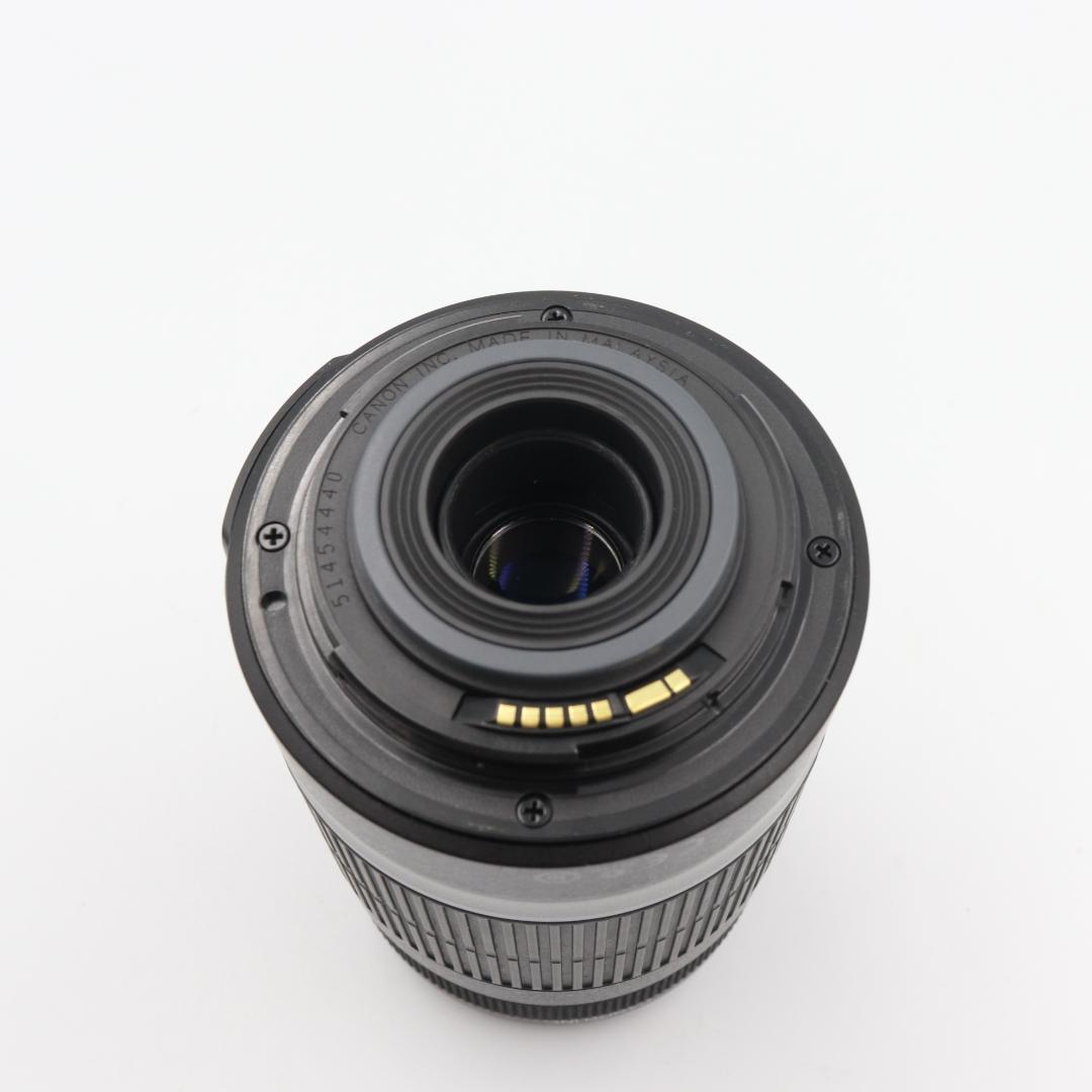 Canon EF-S 55 -250mm F4.5-5.6 IS 望遠