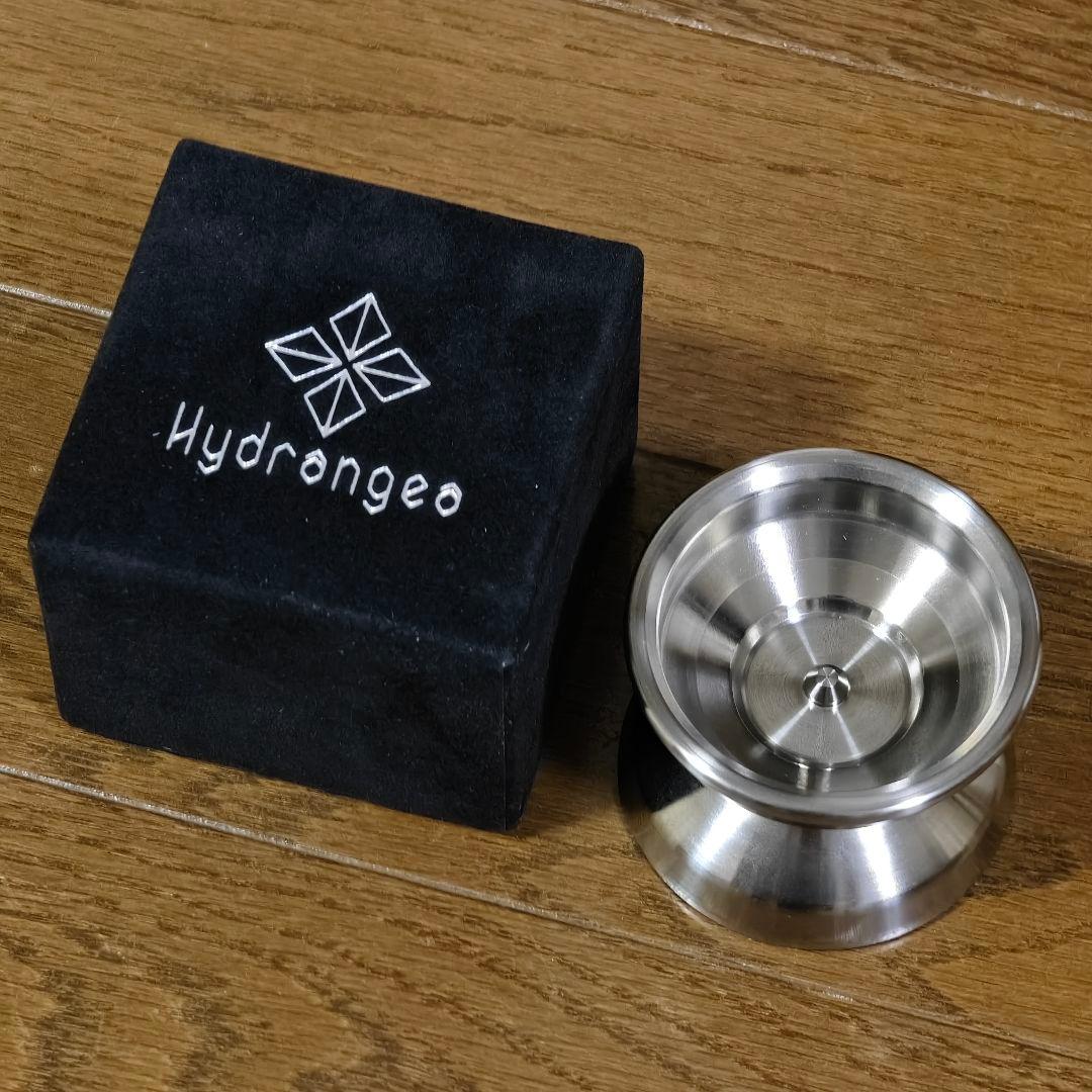 Hydrangea ハイドランジア ベルベリス LET'S DANCE LOVABLE® Reblooming Bigleaf Hydrangea - Proven Winners