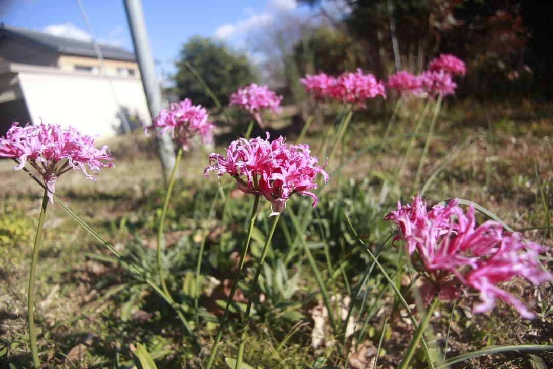 ズームレンズ canon ef 20-35 f3.5-4.5