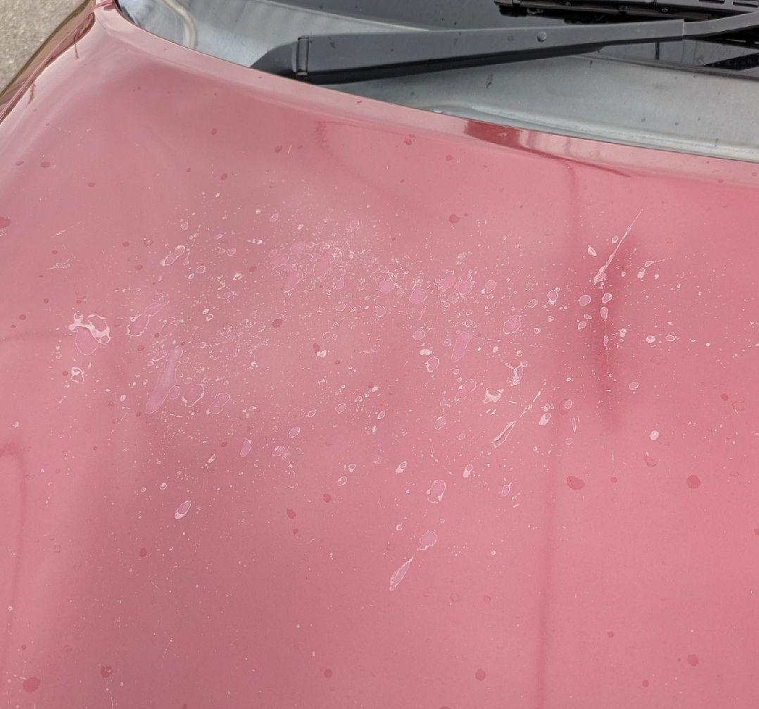 のえる様 【車検令和712月】ミラジーノ 乗れます - メルカリ