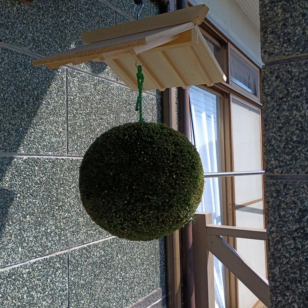 杉玉 直径約29cm 屋根付き - メルカリ