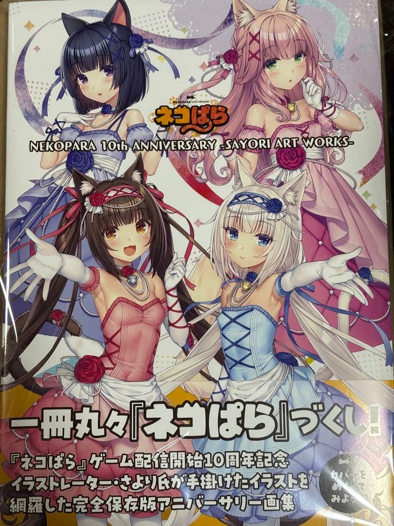 NEKOPARA 10th ANNIVERSARY SAYORIARTWORKS - メルカリ