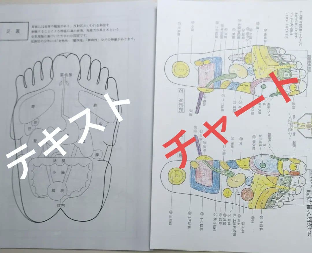 A3:足つぼ（DVD）学ぶ（足部反射療法3級・基礎編）プロの教材set