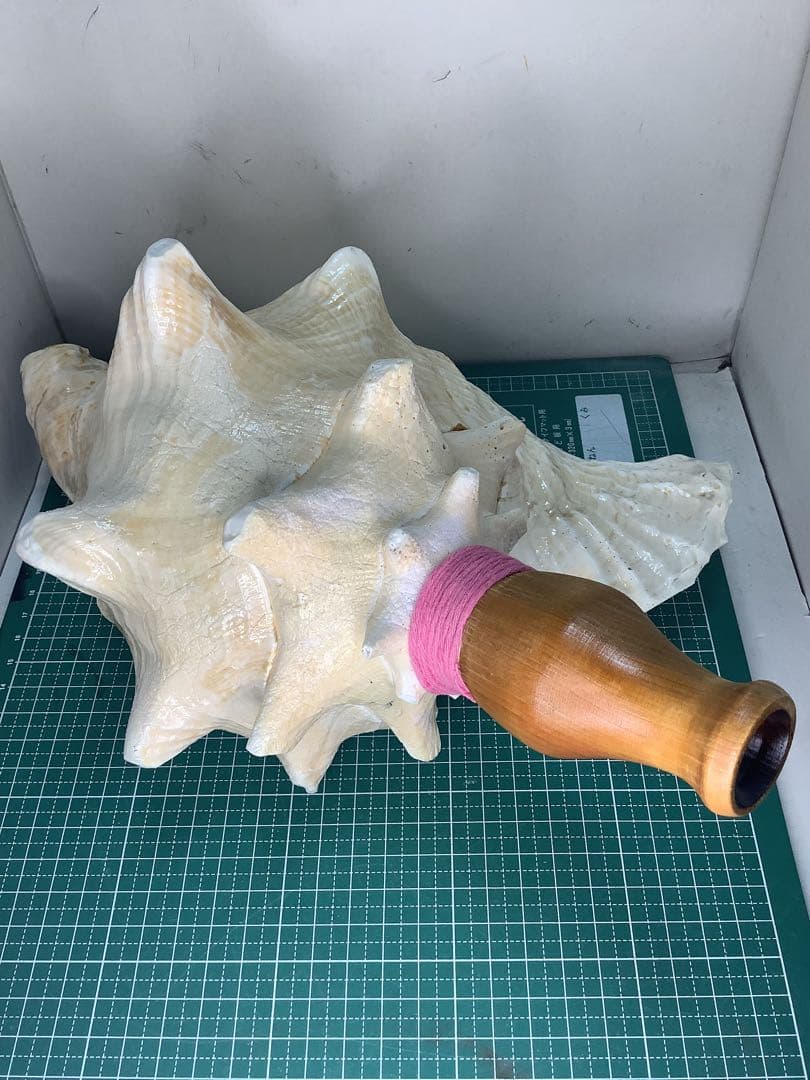 01・ピンクガイ・法螺貝・山伏・修験者・豊臣兄弟・羽黒山・縁起物