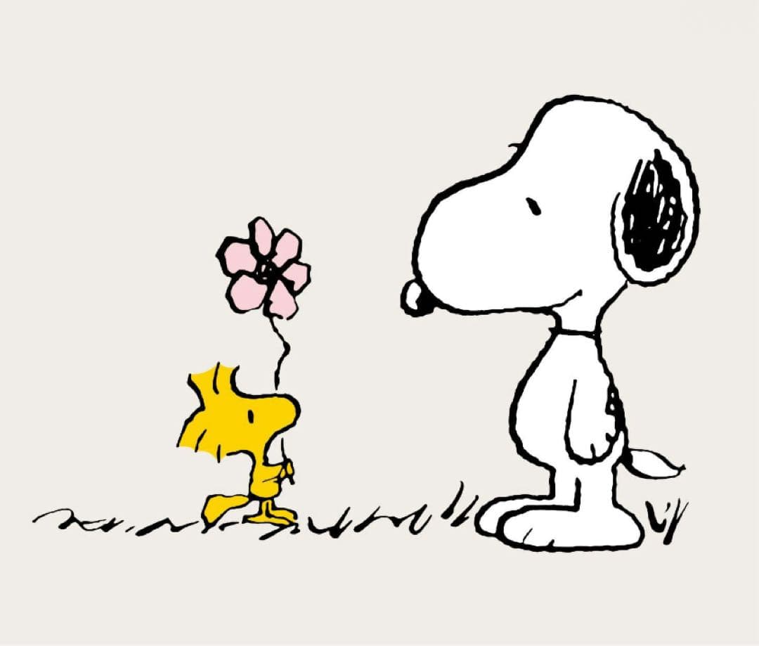 よんよん様 リクエスト 2点 まとめ商品 よんきー様 リクエスト 2点 まとめ商品 - メルカリ