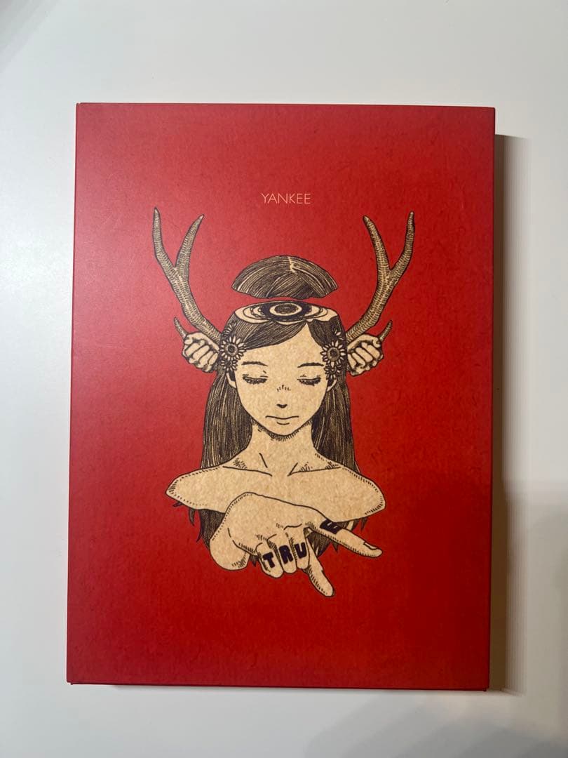 米津玄師 YANKEE 初回限定 画集盤 - メルカリ