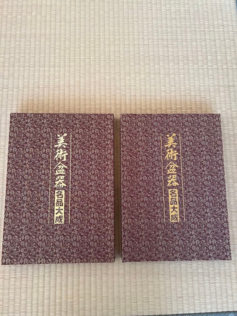 【美品・函付】美術盆器名品大成 中国編／日本編 全2冊｜大型本・盆栽資料 美術盆器名品大成 （全2巻）I、中国編 Ⅱ、日本編 - メルカリ