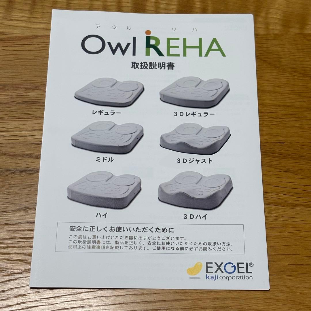 アウルREHAレギュラー EXGEL 40×40×4 カバー2枚 - メルカリ