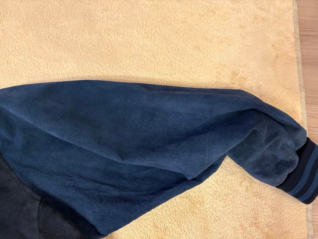 ナゴヤドーム5周年記念 中日ドラゴンズスタジアムジャンパー - メルカリ