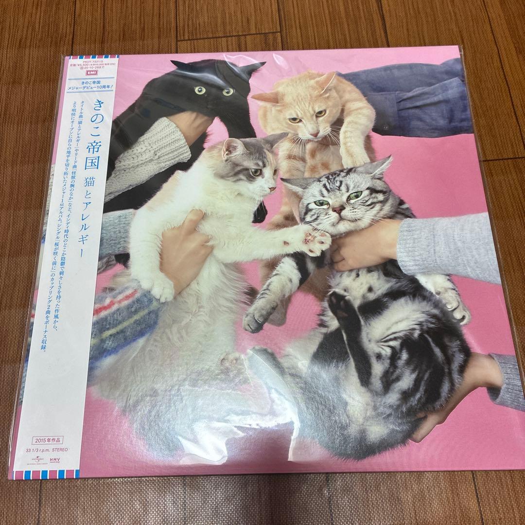 新品⭐︎きのこ帝国 猫とアレルギー アナログ LP レコード 猫とアレルギー【2025 レコードの日 限定盤】(クリアピンク