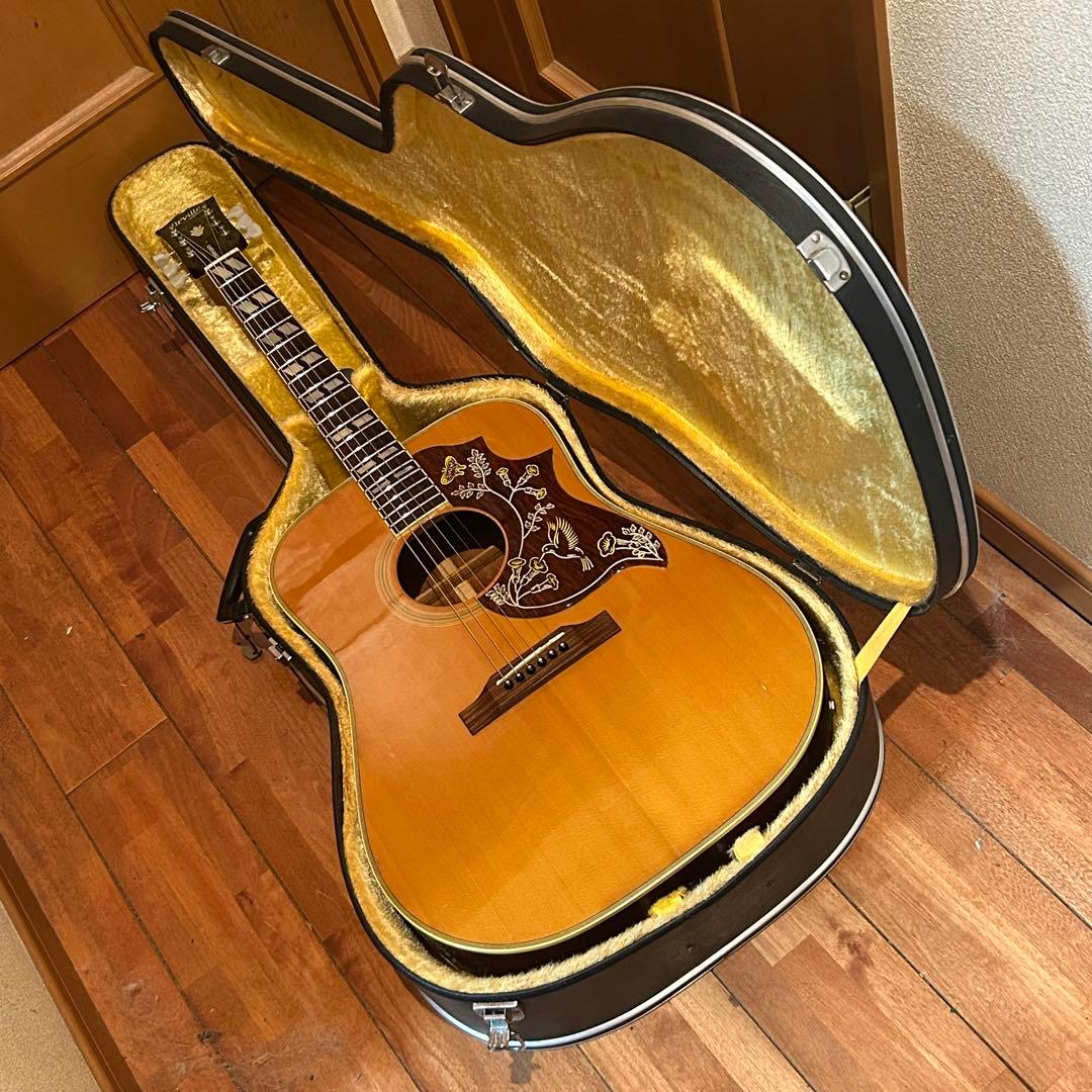 ♡*様 超レア！Orville by Gibson HUMMINGBIRDエレア - メルカリ