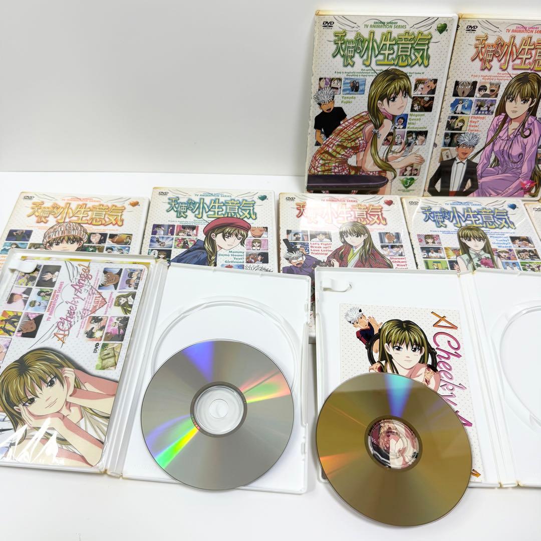 天使な小生意気DVD全巻セット