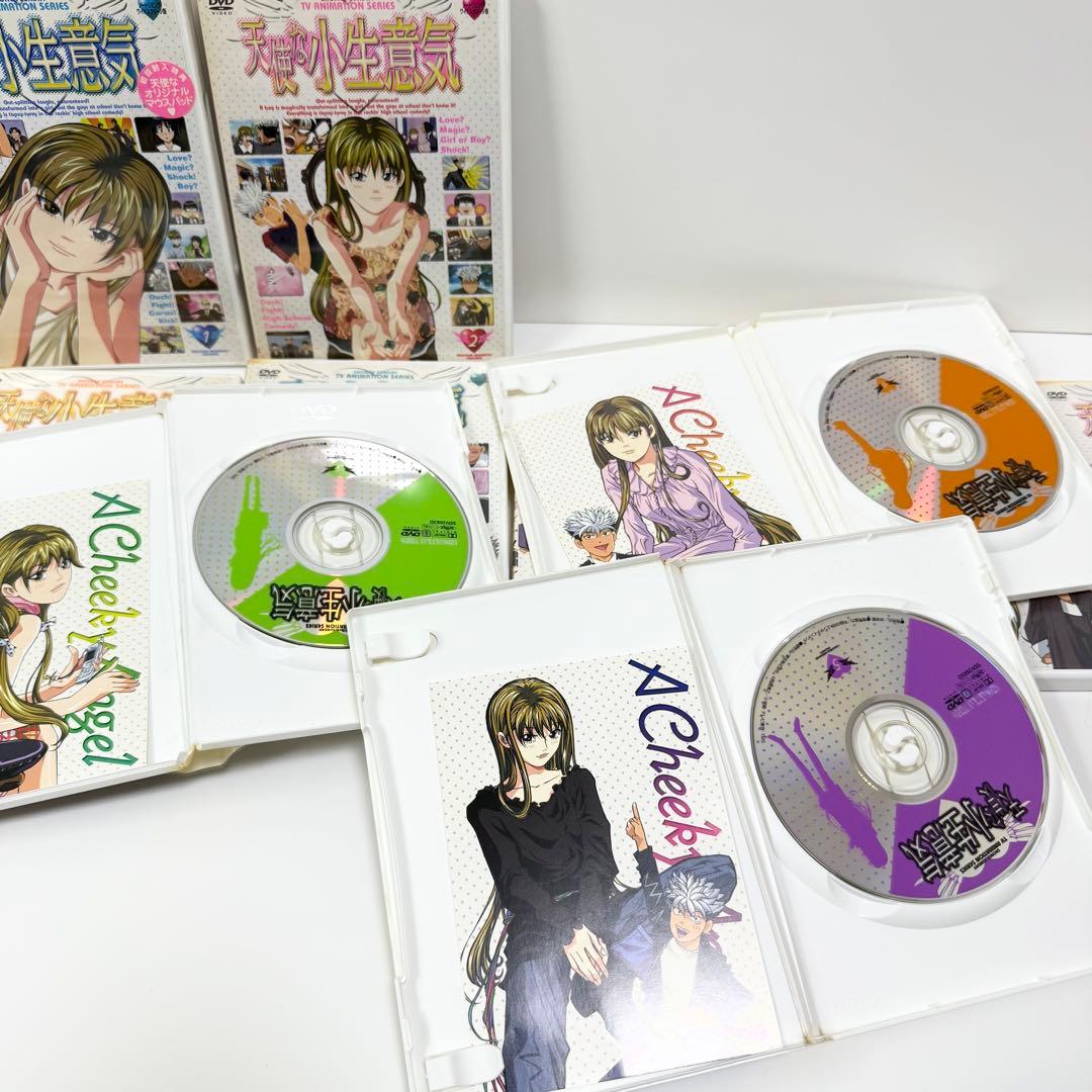 天使な小生意気DVD全巻セット