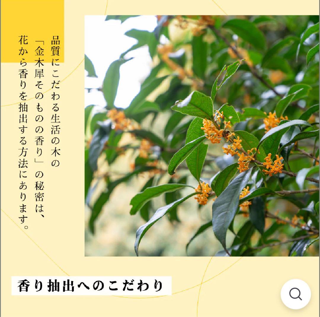 秋季限定】金木犀 香水 28ml パフュームKM 生活の木