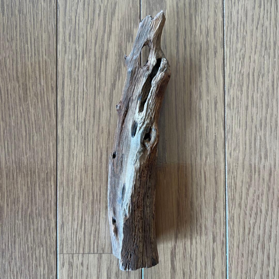 香木 白檀 約114g 鑑定済 お香 リラクゼーション お香/室内香『香木の香り【白檀(びゃくだん)-BYAKUDAN-】渦巻タイプ5枚