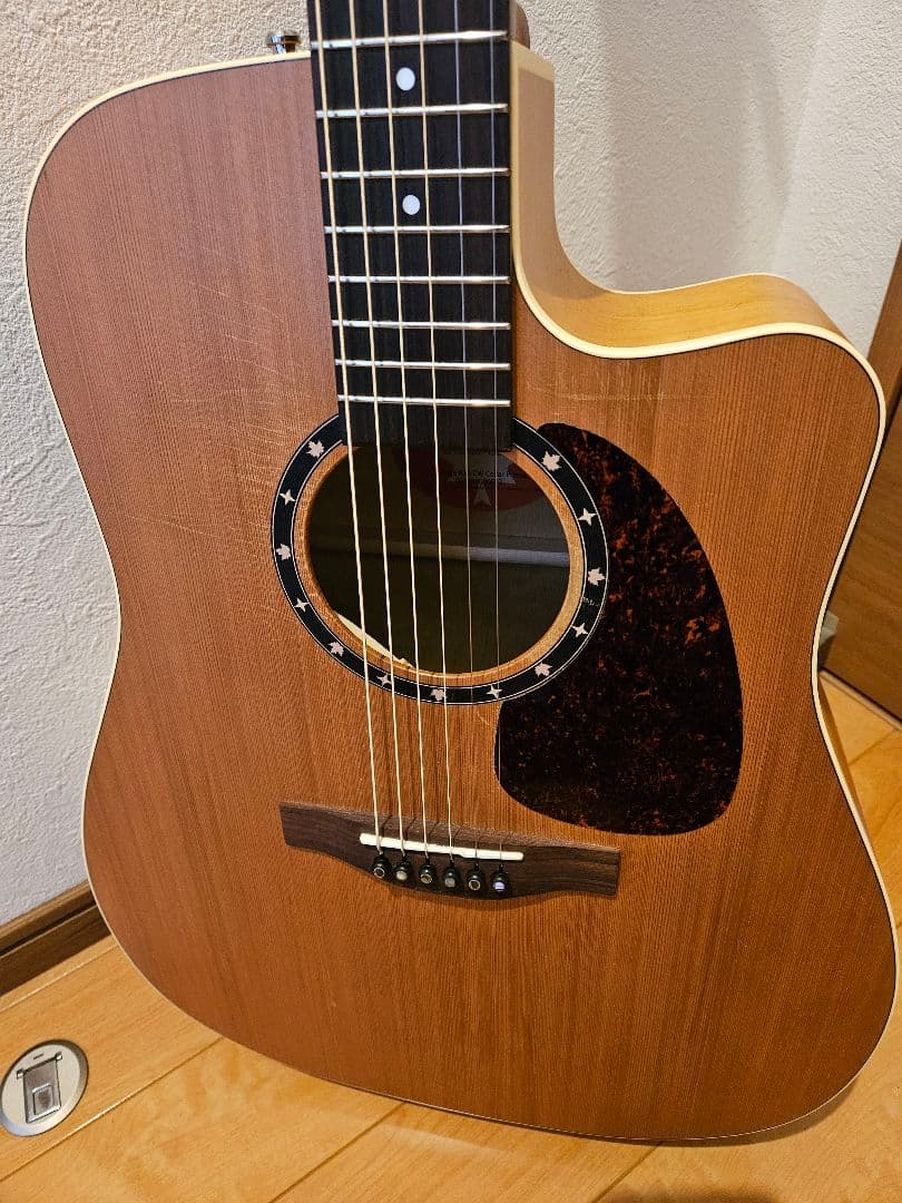 NORMAN B18 CW (fishman presys)