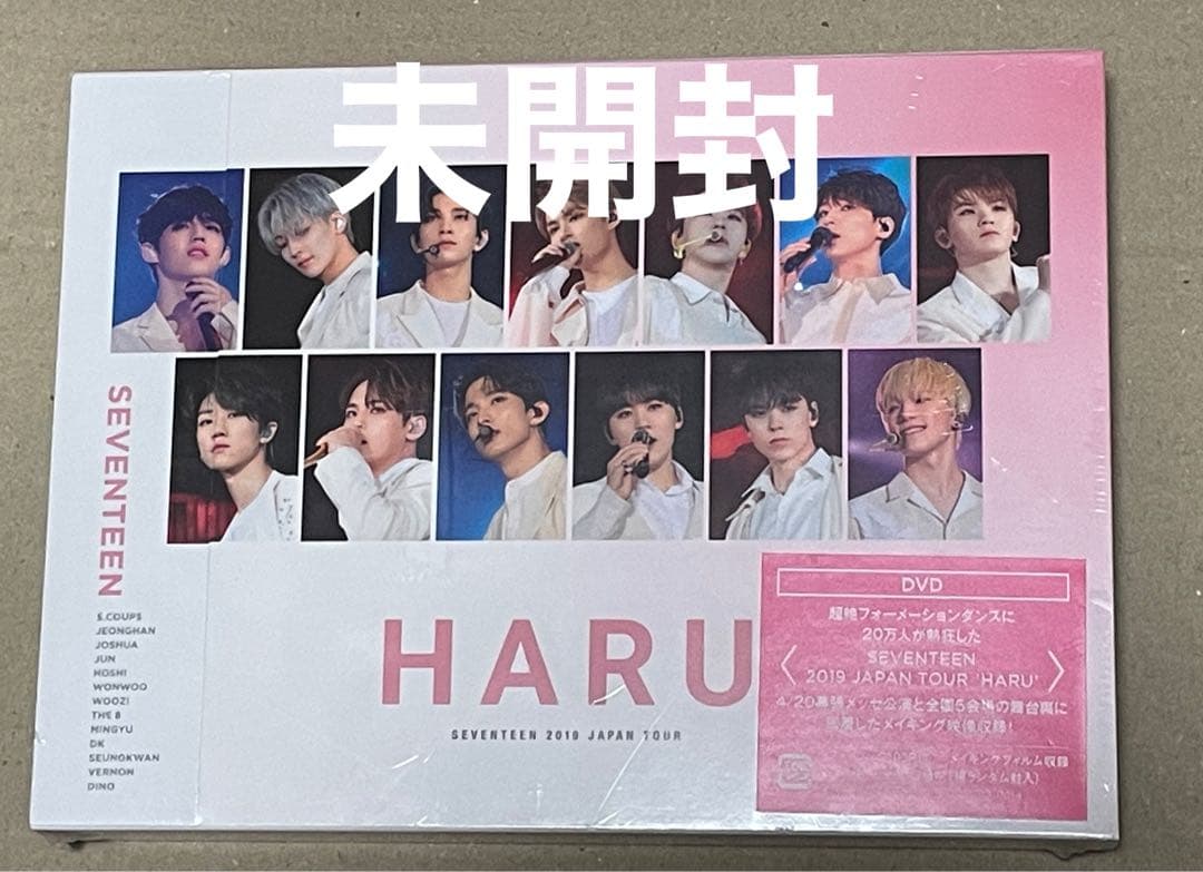 SEVENTEEN 2019 'HARU' 新品未開封トレカ10パック