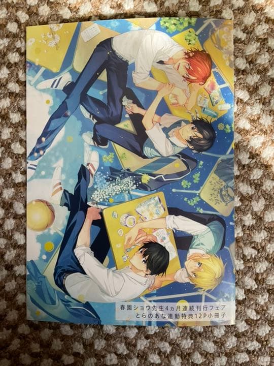 Candy 春園ショウ 佐々木と宮野4ヶ月連続刊行フェア とらのあな特典 小冊子 Candy - 春園ショウアートコレクション | 佐々木と宮野 | 書籍 | 月刊