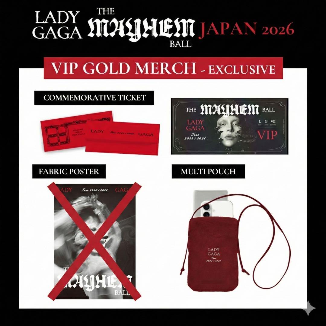 Lady Gaga VIP Gold ガガ グッズ ファブリックポスター以外全部 - メルカリ