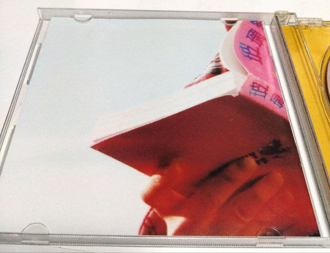 嫁個有錢人Marry a RichMan AVCDサミーチェン美品動作確認済希少