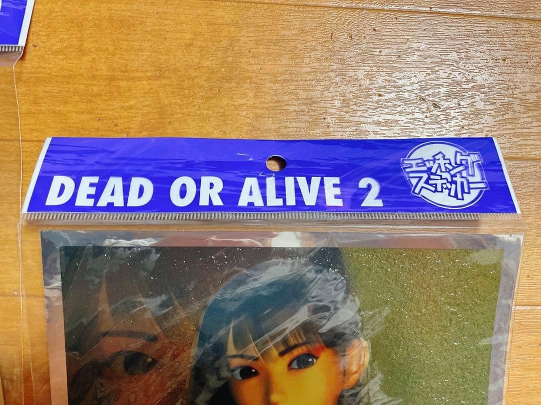 DEAD OR ALIVE 2 レイファン エッチングステッカー 3枚 30cm