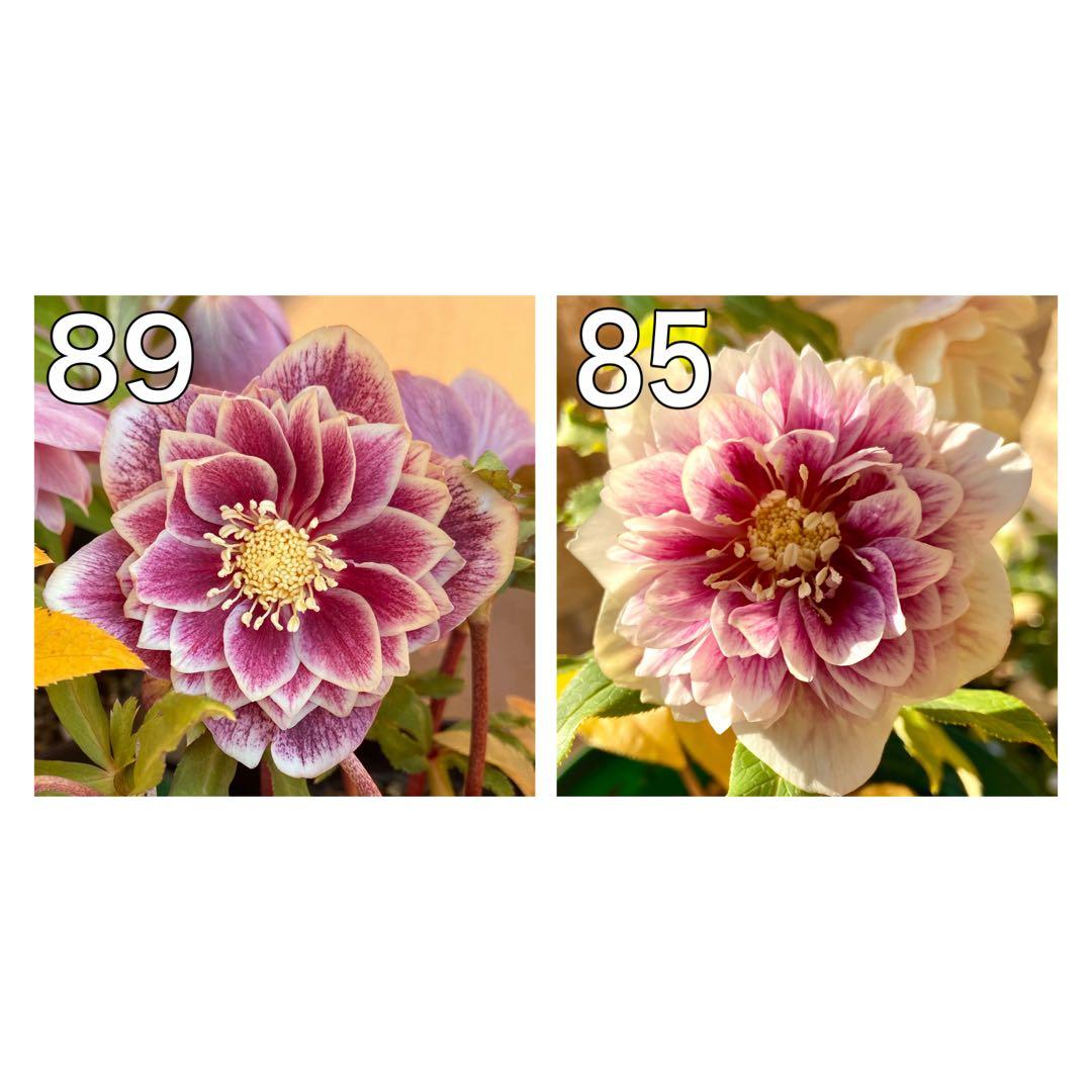 敦子様 リクエスト 4点 まとめ商品