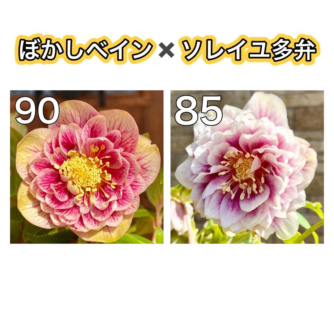 敦子様 リクエスト 4点 まとめ商品