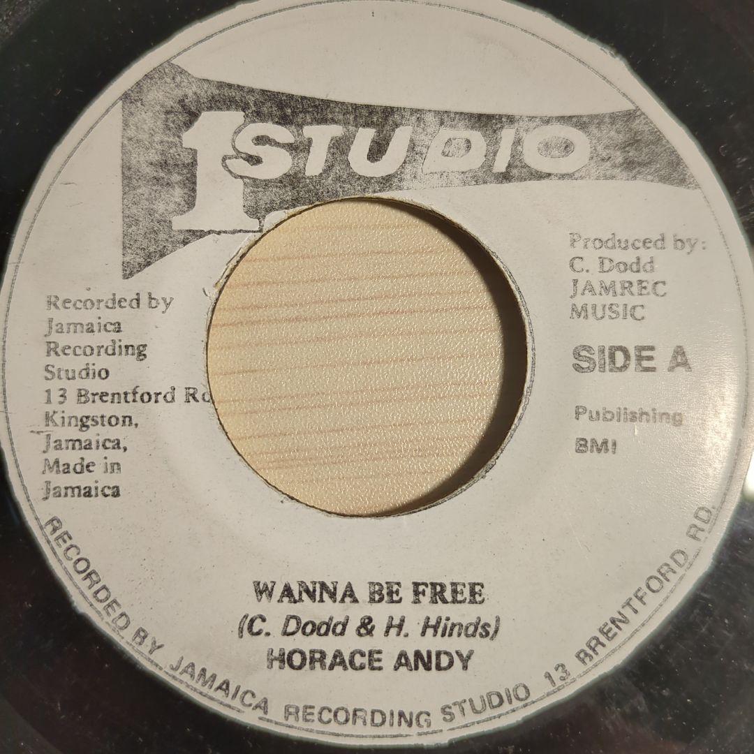 horace andy / wanna be free 7inch lp 美品 - メルカリ
