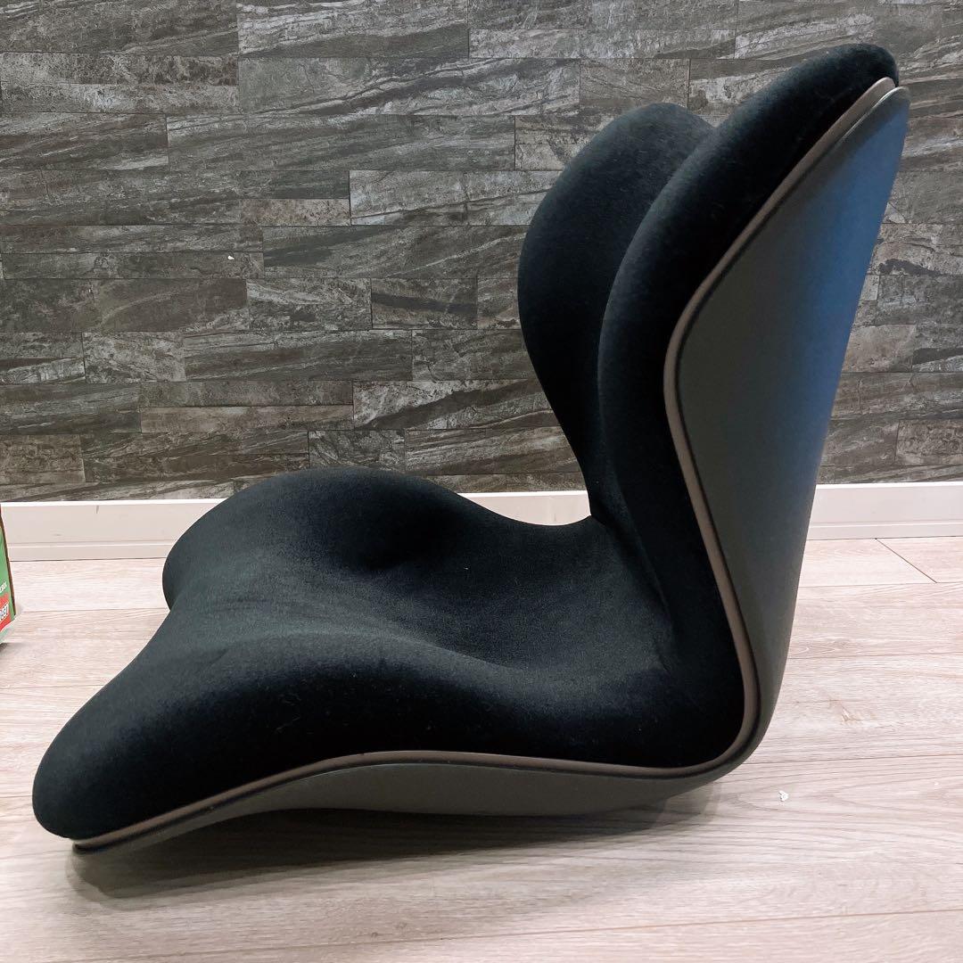 MTG Style PREMIUM DX 骨盤矯正 姿勢矯正クッション - メルカリ