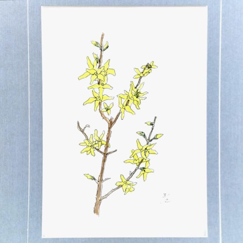 ☆ 坂本直行 ☆「 れんぎょう 」水彩画 1982年3月作 証明書有り 未使用