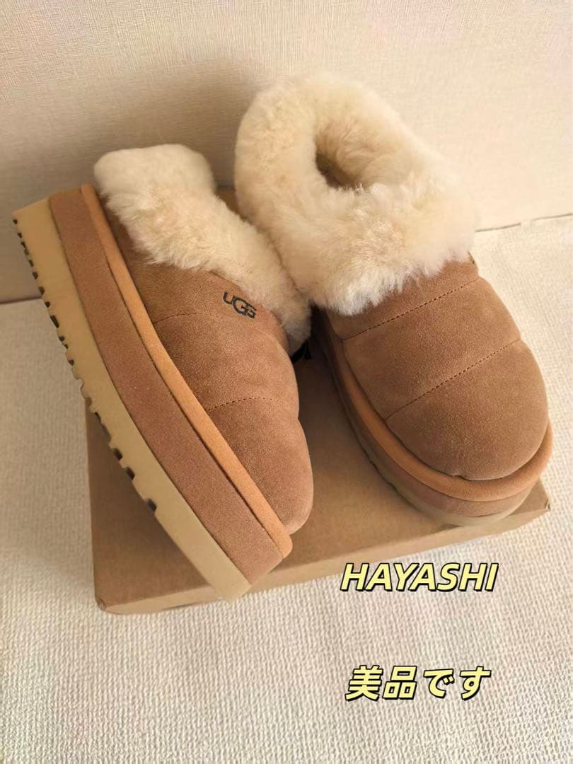 だんごむし様 Amazon | だんごむし03 フチゾリネッタイコシビロダンゴムシ編 全4種