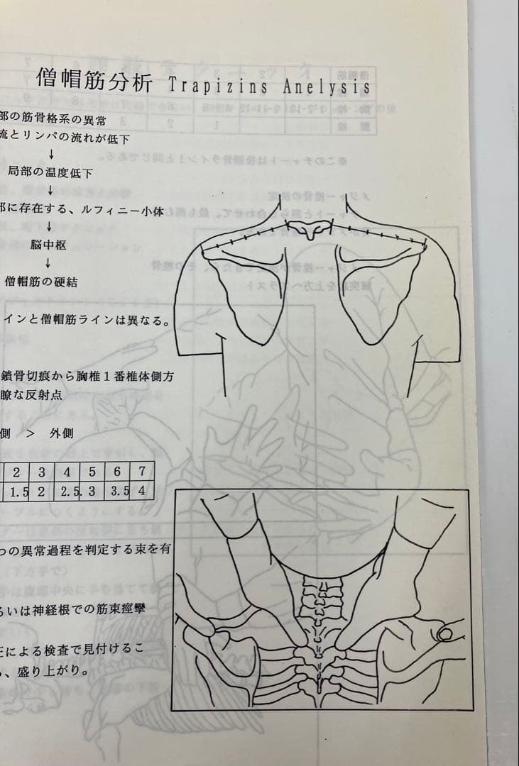 最終価格《希少品》SOT 上級 セミナー　ノート